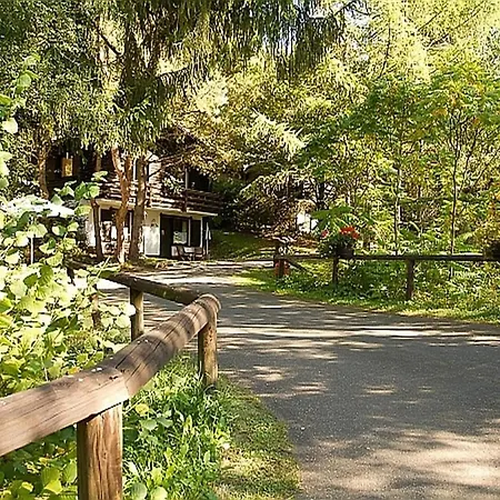 Cozy With Fireplace In Wooded Area *