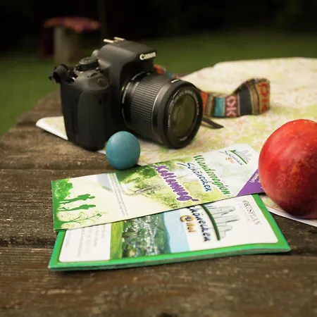 In Reinskopf With Fireplace Chalet