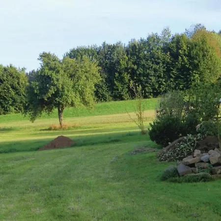 In Reinskopf With Fireplace