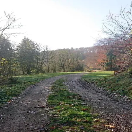 Chalet In Reinskopf With Fireplace