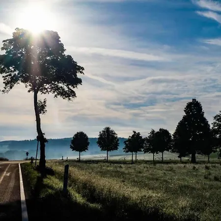 In Reinskopf With Fireplace Chalet Schönecken