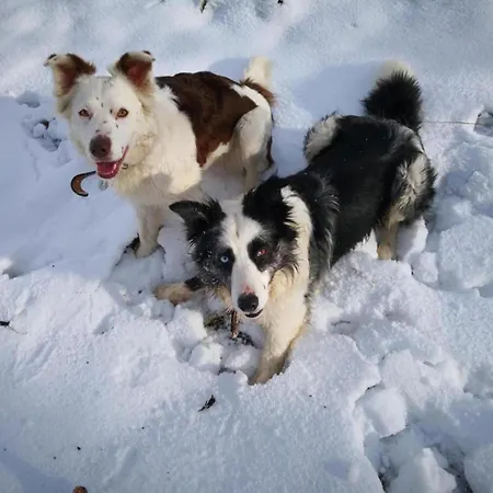 In Reinskopf With Fireplace Chalet *