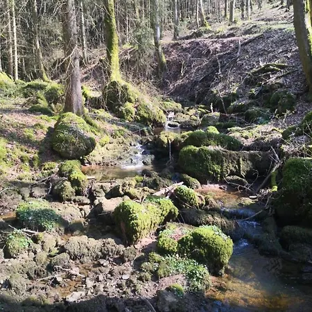 Chalet In Reinskopf With Fireplace