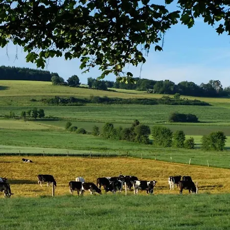 In Reinskopf With Fireplace * Schonecken