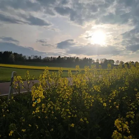 Chalet In Reinskopf With Fireplace