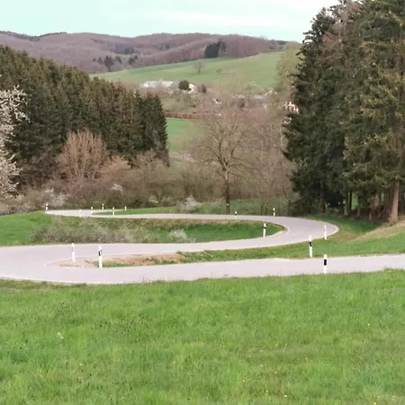 In Reinskopf With Fireplace Schonecken