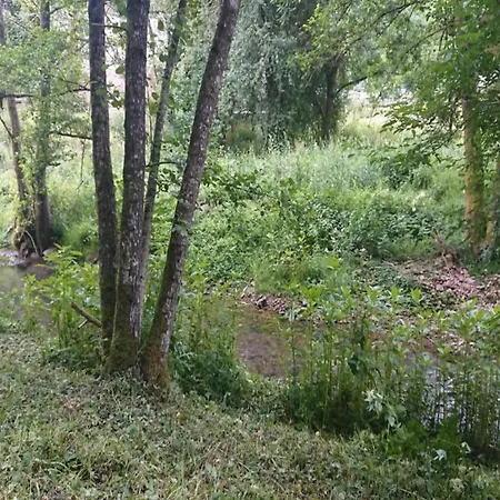 In Reinskopf With Fireplace