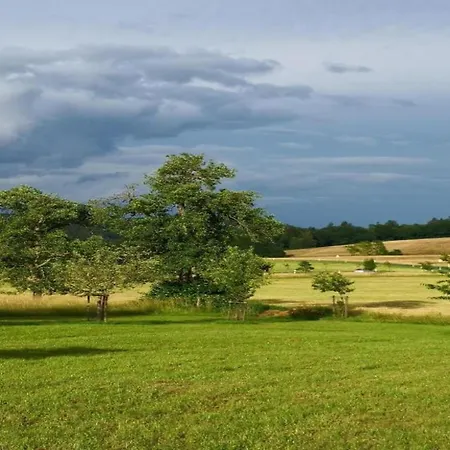 In Reinskopf With Fireplace Schonecken