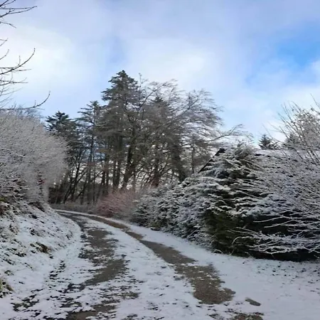 In Reinskopf With Fireplace