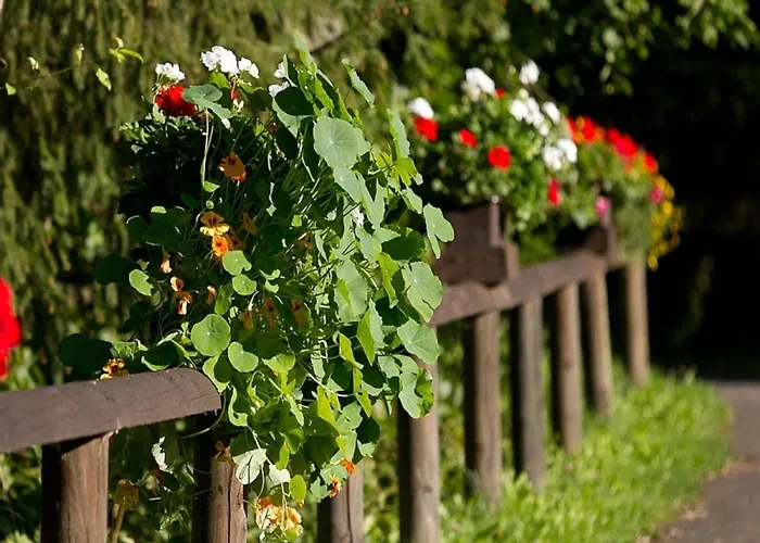 Chalet In Reinskopf With Fireplace *