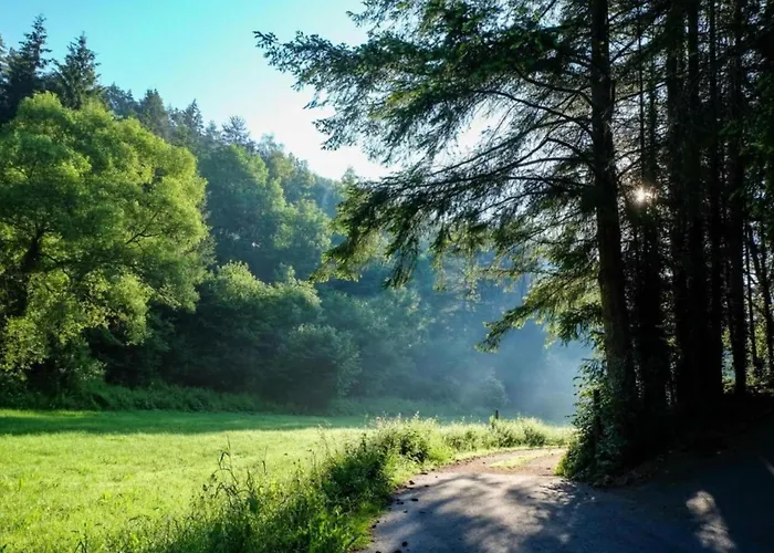 In Reinskopf With Fireplace Chalet Schönecken