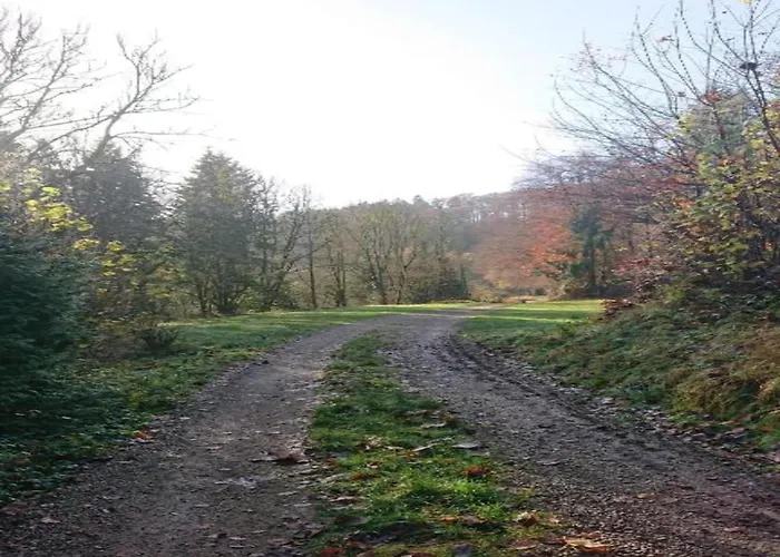 Chalet In Reinskopf With Fireplace