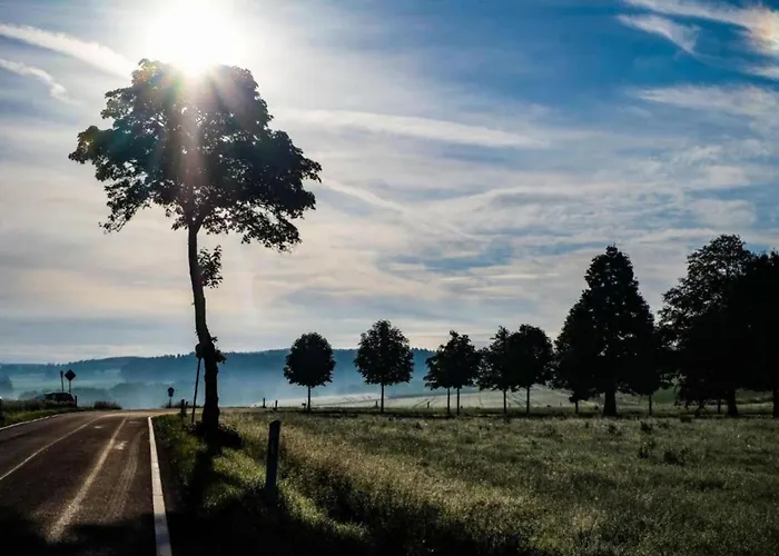 In Reinskopf With Fireplace Chalet Schönecken