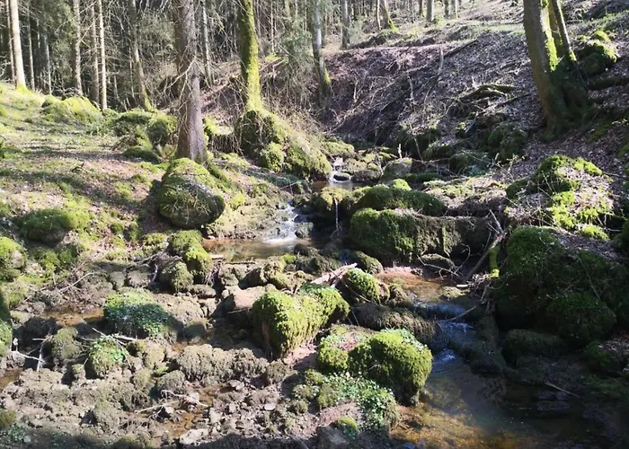 Chalet In Reinskopf With Fireplace