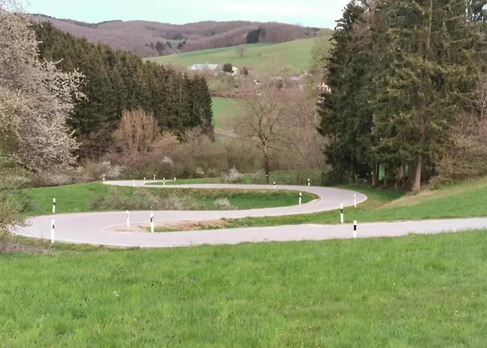 In Reinskopf With Fireplace Schönecken