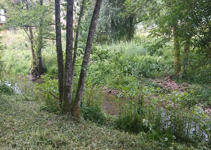 In Reinskopf With Fireplace