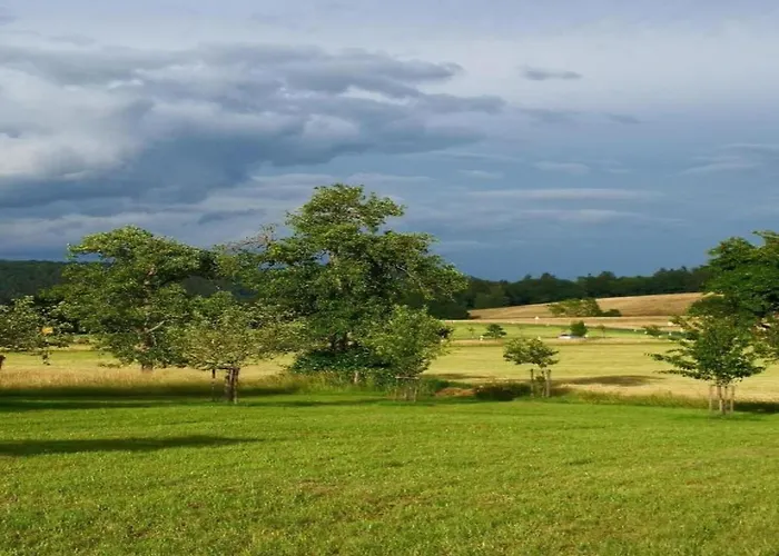 In Reinskopf With Fireplace Schönecken
