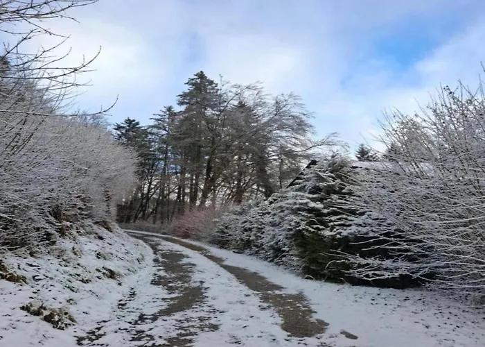 In Reinskopf With Fireplace